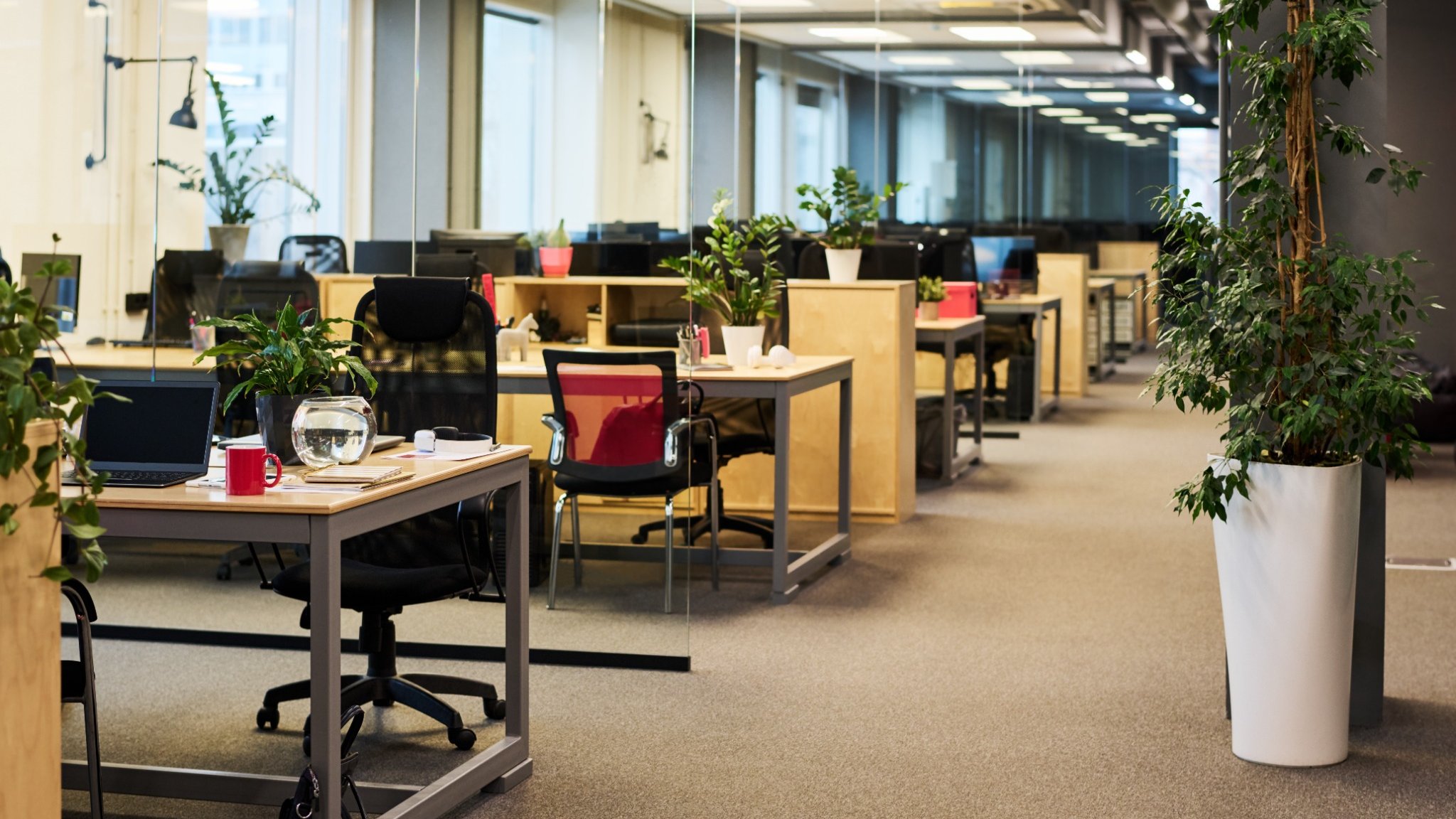 Saúde Mental no Trabalho, Novas gerações e trabalho, geração Z e saúde mental, geração Z e trabalho, Geração Z e Burnout